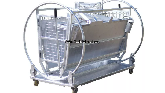 How Wide Should A Cattle Chute Be